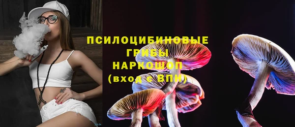 стаф Приозерск