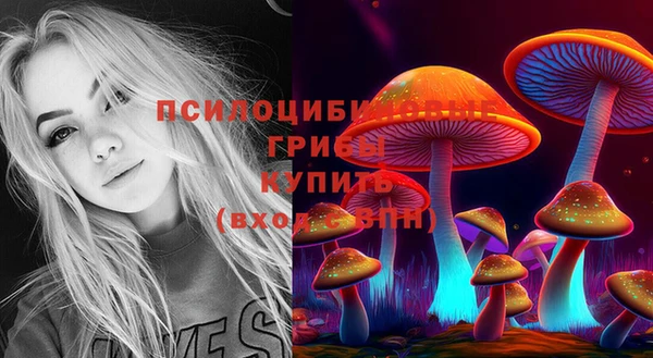 МДПВ Верхнеуральск
