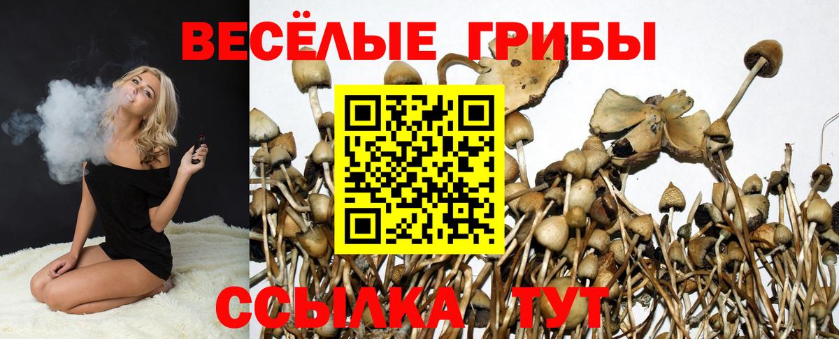 Галлюциногенные грибы мухоморы Снежинск