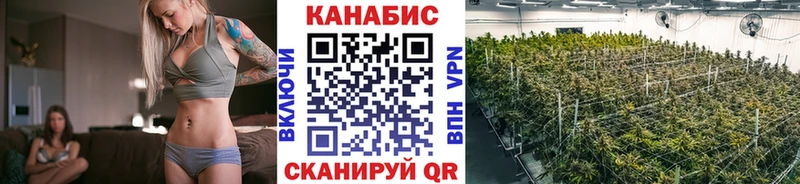 Конопля LSD WEED  ОМГ ОМГ ССЫЛКА  Снежинск 